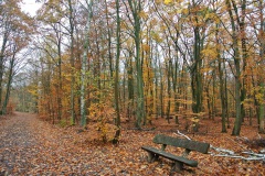 Berlin-Grunewald-1