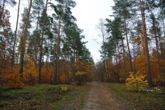 Berlin-Grunewald-2