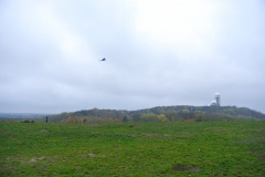 Berlin-Grunewald-3