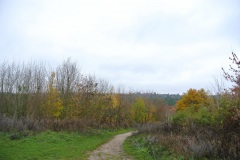 Berlin-Grunewald-5