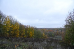 Berlin-Grunewald-6
