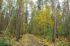 Berlin-Grunewald-7