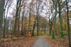 Berlin-Grunewald-8