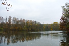Berlin-Grunewald-9