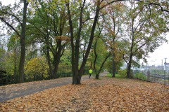 Hans-Baluschek-Park-WalkYourDog-10