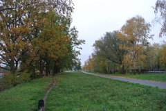 Hans-Baluschek-Park-WalkYourDog-2