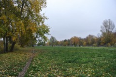 Hans-Baluschek-Park-WalkYourDog-4