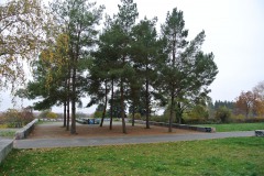 Hans-Baluschek-Park-WalkYourDog-5