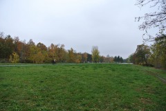 Hans-Baluschek-Park-WalkYourDog-6
