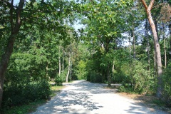 Hasenheide-WalkYourDog-2