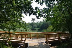 Hasenheide-WalkYourDog-3