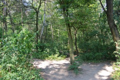 Hasenheide-WalkYourDog-5