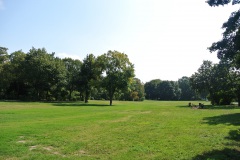 Hasenheide-WalkYourDog-6