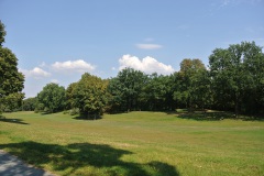 Hasenheide-WalkYourDog-7