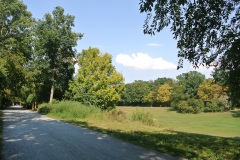 Hasenheide-WalkYourDog-8