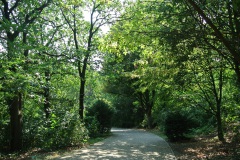 Hasenheide-WalkYourDog-9