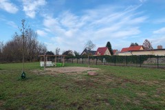 HelleHunde6
