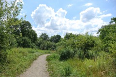 Hoenower-Weiherkette-WalkYourDog-10