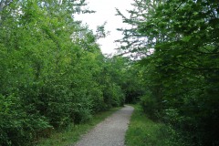 Hoenower-Weiherkette-WalkYourDog-2