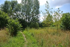 Hoenower-Weiherkette-WalkYourDog-3