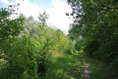 Hoenower-Weiherkette-WalkYourDog-4