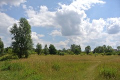 Hoenower-Weiherkette-WalkYourDog-5