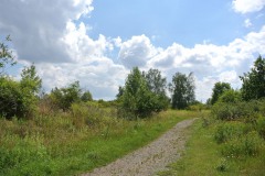 Hoenower-Weiherkette-WalkYourDog-6