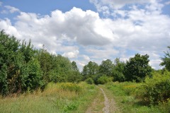 Hoenower-Weiherkette-WalkYourDog-7