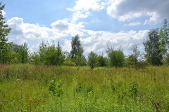 Hoenower-Weiherkette-WalkYourDog-9