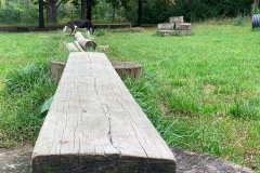 HundeauslaufFennpfuhlpark5