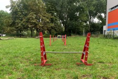HundeauslaufFennpfuhlpark7