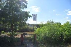 Hundeauslauf-im-Görlitzer-Park-WalkYourDog-1