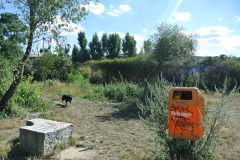 Hundeauslauf-im-Görlitzer-Park-WalkYourDog-7