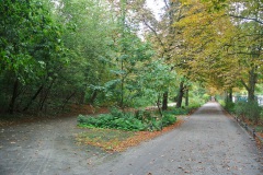 Hundeauslauf-Humboldthain-WalkYourDog-1
