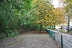 Hundeauslauf-Humboldthain-WalkYourDog-5