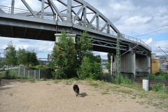 Hundeauslauf-Park-am-Gleisdreieck-WalkYourDog-2