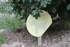 Hundeauslauf-Park-am-Gleisdreieck-WalkYourDog-7