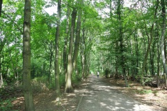 Hundeauslauf-Rehberge-WalkYourDog-3