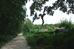Hundeauslauf-Rehberge-WalkYourDog-4