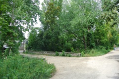 Hundeauslauf-Rehberge-WalkYourDog-5