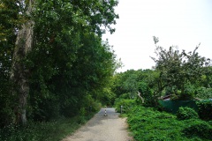 Hundeauslauf-Rehberge-WalkYourDog-6