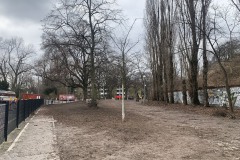 WYD_Hundeauslauf_WienerStr_02
