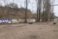 WYD_Hundeauslauf_WienerStr_03
