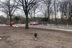 WYD_Hundeauslauf_WienerStr_08