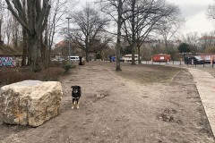 WYD_Hundeauslauf_WienerStr_09