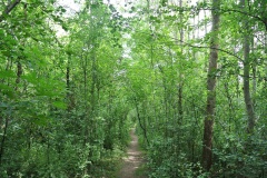 Hundeauslaufgebiet-Blankenfelde-WalkYourDog-10