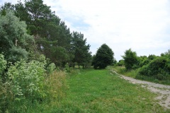 Hundeauslaufgebiet-Blankenfelde-WalkYourDog-2