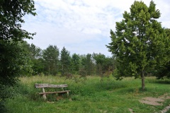 Hundeauslaufgebiet-Blankenfelde-WalkYourDog-3