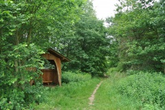 Hundeauslaufgebiet-Blankenfelde-WalkYourDog-4