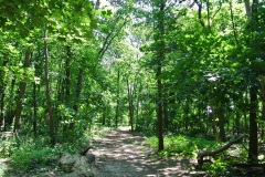 Hundeauslaufgebiet-Düppel-WalkYourDog-9